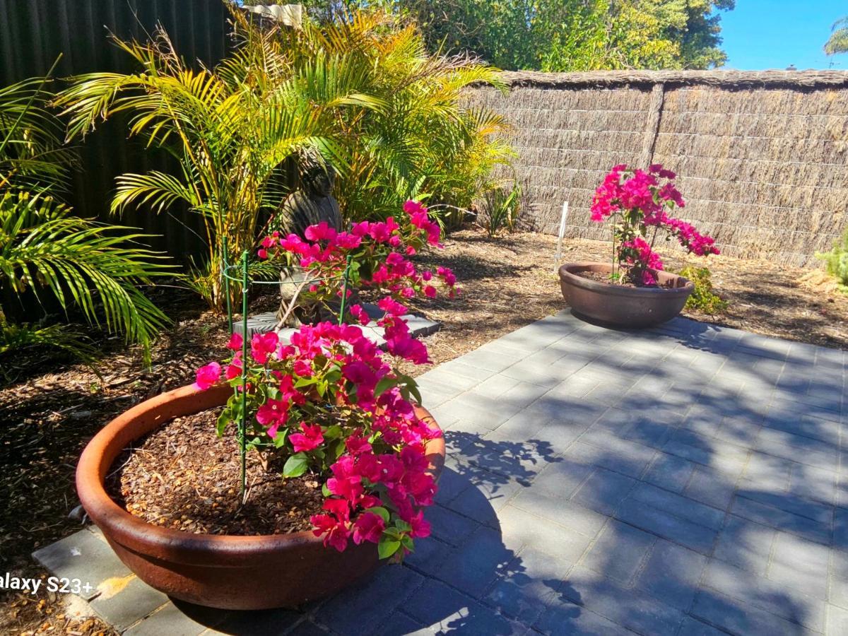 Tranquil Gumnut Cottage - Close To Airport Perth Luaran gambar